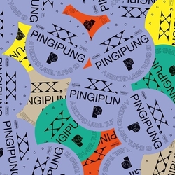 Various XX, Pingipung. A Record Label Turns 20 Vinyl