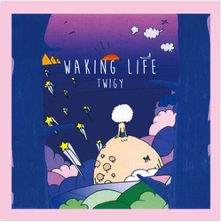 Twigy Waking Life VINYL LP