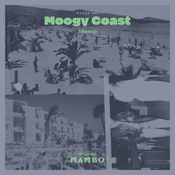 Moogy Coast Koherencja Vinyl LP