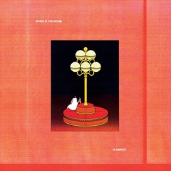 Spirit In The Room Flamingo VINYL