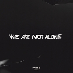 We Are Not Alone - Part 6 Various (2Pk) We Are Not Alone - Part 6 Various (2Pk) vinyl LP