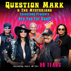 Question Mark And The Mysterians Cavestomp Presents Are You For Real VINYL LP