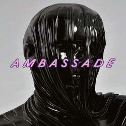 De Ambassade Young Birds VINYL 12INCH