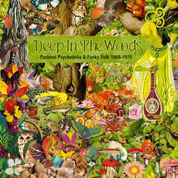 Various Deep In The Woods (Pastoral Psychedelia & Funky Folk 1968-1975) CD
