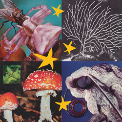 Various All Things Considered 02 Vinyl LP