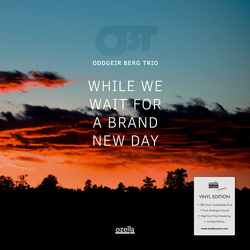 Oddgeir Berg Trio While We Wait For A Brand New Day vinyl LP