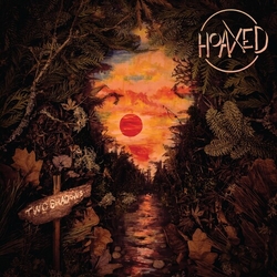 Hoaxed Two Shadows VINYL LP