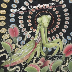 Eugene Chadbourne Mourning Of The Praying Mantis Worms With vinyl LP