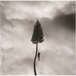 Manchester Orchestra A Black Mile To The Surface Vinyl 2 LP