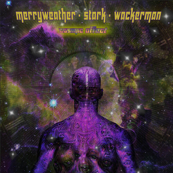 Merryweather Stark Wackerman Cosmic Affect VINYL LP