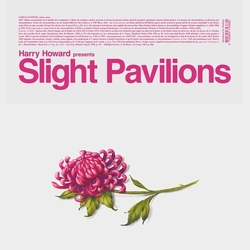 Harry Howard Slight Pavilions Vinyl LP
