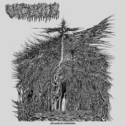 Vacuous Dreams Of Dysphoria VINYL LP