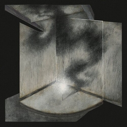 Dead Void Volatile Forms VINYL LP