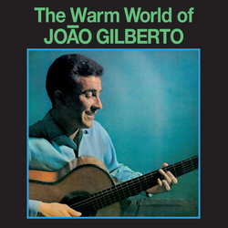 João Gilberto The Warm World of JOAO GILBERTO Vinyl LP