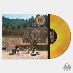 Mint Field Levitation Sessions (Colv) (Org) (Ylw) vinyl LP