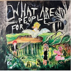 What Are People For? / Anna McCarthy / Paulina Nolte / Manuela Rzytki / Tom Wu What Are People For? Vinyl LP