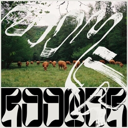 Roomer (2) Skice Vinyl