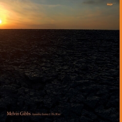 Melvin Gibbs Anamibia Sessions 1 The Wave vinyl LP