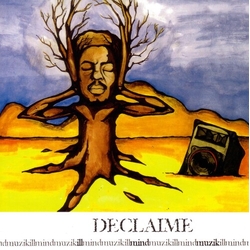 Declaime Illmindmuzik VINYL