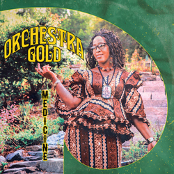 Orchestra Gold Medicine VINYL LP