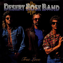 Desert Rose Band True Love VINYL LP