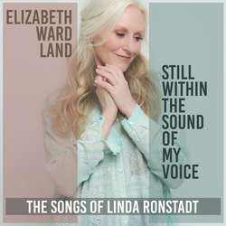 Elizabeth Ward Land Still Within The Sound Of My Voice VINYL LP