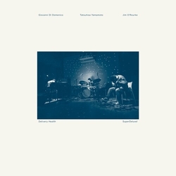 Delivery Health Superdeluxe vinyl LP