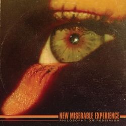 New Miserable Experience Philosophy on Pessimism VINYL