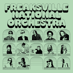 Freaksville National Orchestra Freaksville National Orchestra VINYL LP