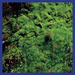 Matthias Puech Mt. Hadamard National Park Vinyl LP