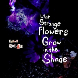 Joseph Allred What Strange Flowers Grow In The Shade Vinyl LP