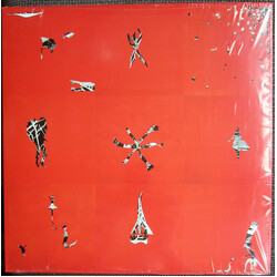 Animal Collective Hollinndagain Vinyl LP
