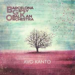 Barcelona Gipsy Klezmer Orchestra Avo Kanto Vinyl LP