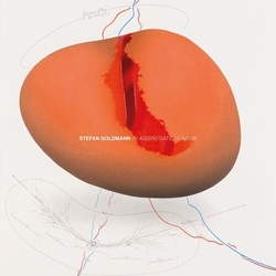 Stefan Goldmann In Aggregate / Carob Vinyl