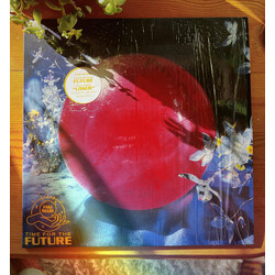 Fake Shark Time For The Future Vinyl LP