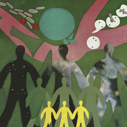 Daniel O'Sullivan The Physic Garden VINYL LP