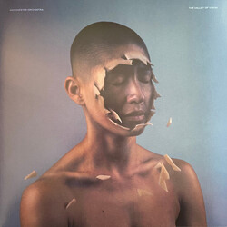 Manchester Orchestra The Valley Of Vision VINYL