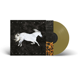 DOOL Here Now, There Then VINYL LP
