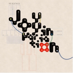 Mr Beatnick Joy In Variation VINYL LP