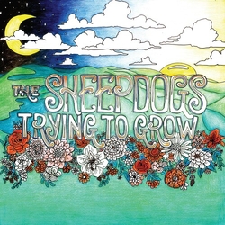 Sheepdogs Trying To Grow (Colv) (Grn) (Can) vinyl LP