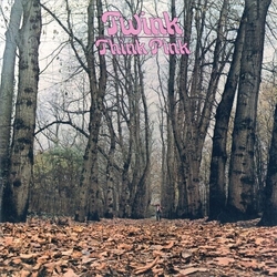 Twink Think Pink (Cvnl) (Pnk) (Uk) vinyl LP