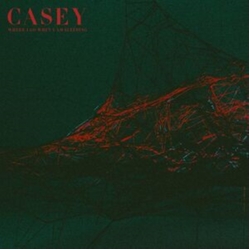 Casey Where I Go When I Am Sleeping (Cvnl) (Uk) vinyl LP