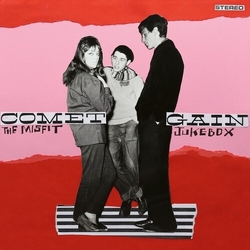 Comet Gain The Misfit Jukebox VINYL LP