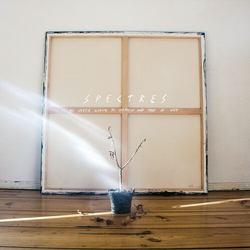 Spectres Its Never Going To Happen & This Is Why VINYL LP