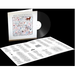 Giovanni Truppi Infinite Possibilità Per Essere Finiti- Vinyl LP