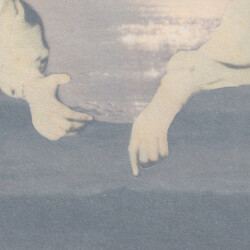 君島大空 袖の汀 Vinyl