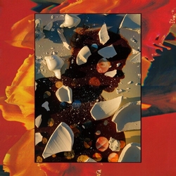 Hand Habits Sugar The Bruise VINYL