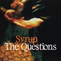 Syrup Questions VINYL LP