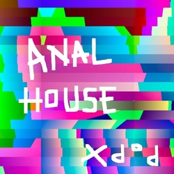 Pop_X ANAL HOUSE VINYL LP