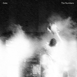 Gate (3) The Numbers VINYL LP